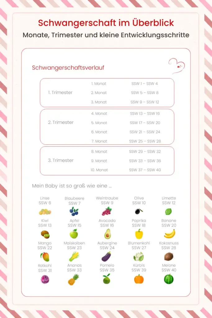 Innenansicht aus einem Schwangerschaftstagebuch mit Übersicht zu Trimester, Schwangerschaftswochen und Babygröße