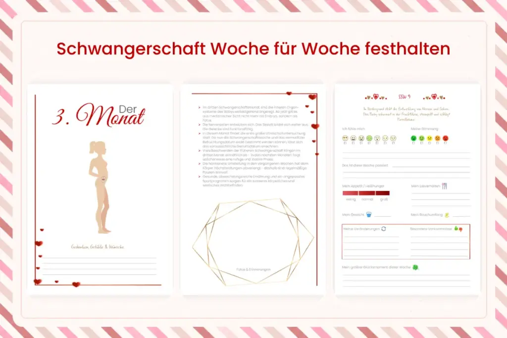 Schwangerschaftstagebuch mit Monatsseite, Entwicklungsseite und Wochenseite zum Festhalten der Schwangerschaft